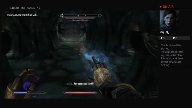 Skyrim Anniversary Edition No Mods