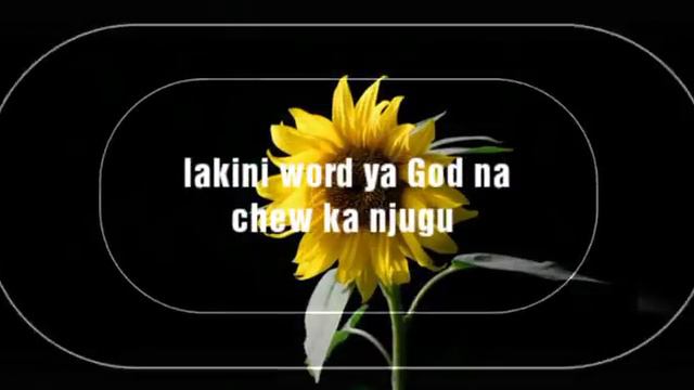 coco butter papito смотреть онлайн