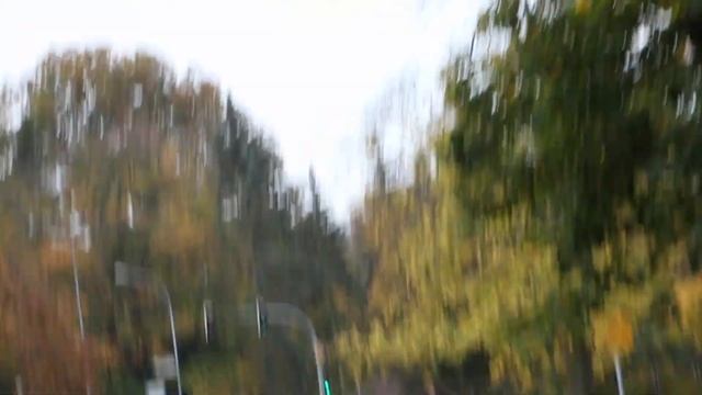 Гарнизон Людвигслуст: 30 лет спустя (часть 11) смотреть онлайн