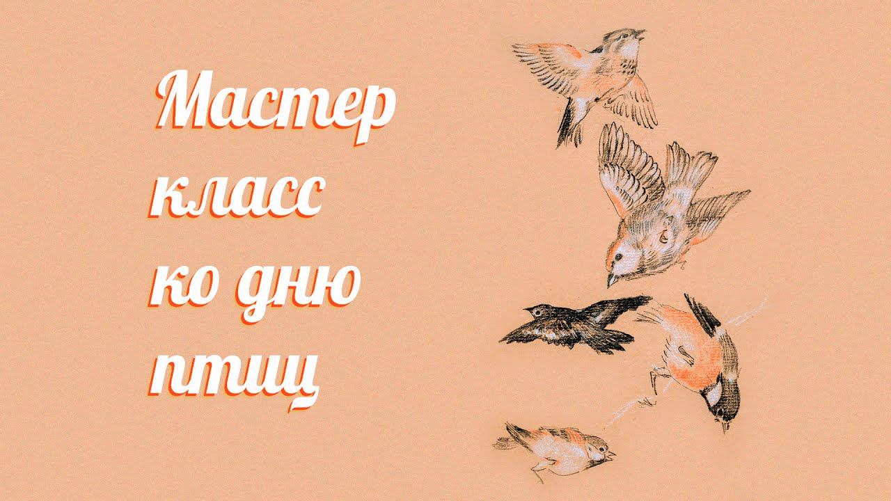 Мастер-класс ко дню птиц смотреть онлайн
