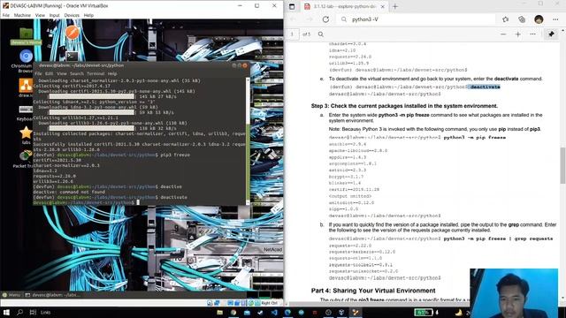 3 1 12 Lab Explore Python Development Tools смотреть онлайн