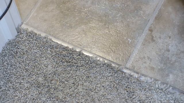 How To Install Peel-and-Stick Vinyl Flooring Over Existing Flooring смотреть онлайн