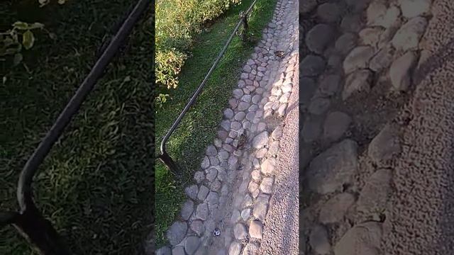 В летний день у Казанского Собора смотреть онлайн