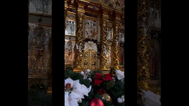 «Діва Марія Сина Родила…»✨🎄 смотреть онлайн