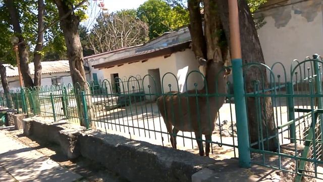 ТРАВОЯДНЫЕ, ТРАВОЯДНЫЕ, ТРАВОЯДНЫЕ И ВСЁ! смотреть онлайн