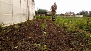 Мототяпка CHAMPION, правильный запус и работа по овощным культурам