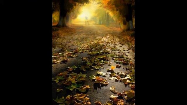Я ЛЮБЛЮ ТЕБЯ ДО СЛЁЗ... смотреть онлайн