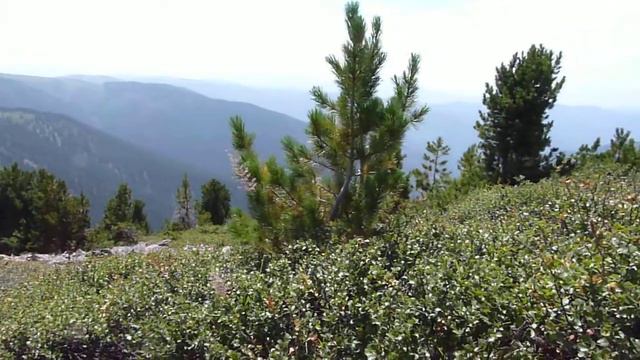 На перевале Дяман-Дёл. Горный Алтай. Амаду-2012. смотреть онлайн