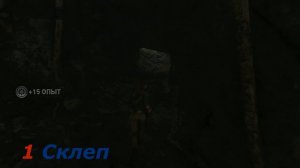 Shadow of the Tomb Raider (2018) - Склепы Перуанские джунгли