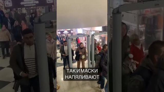 Стадный Инстинкт. Дрессировка идёт по плану смотреть онлайн