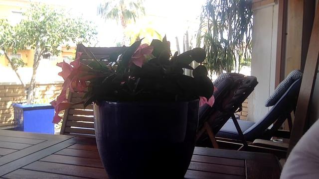 давай попрактикуемся в русском) смотреть онлайн