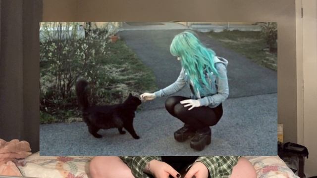 soft grunge 101: intro to the 2014 tumblr aesthetic смотреть онлайн