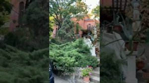 Чёрное Море 2021/Поездка на скутере Yamaha majesty 400/