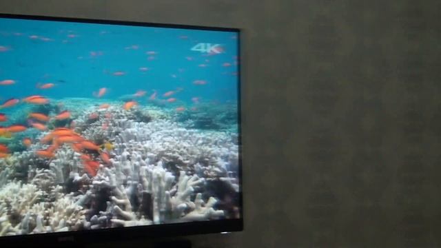 Обзор монитор BENQ GW2780 ; BL2780 смотреть онлайн