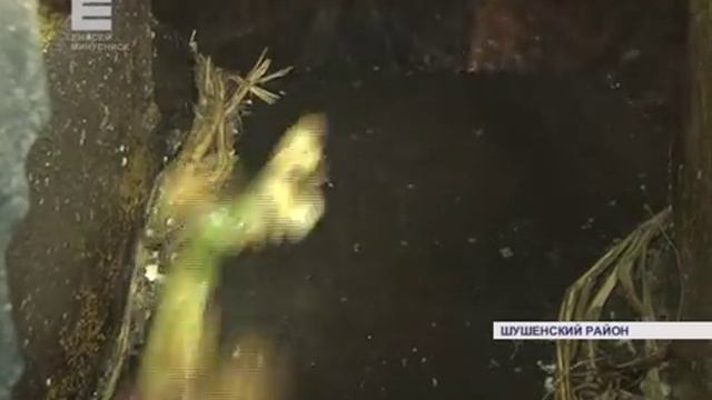 Крахмал по бабушкиному рецепту (Енисей Минусинск) смотреть онлайн