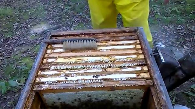 Сборка гнезда в лежаке