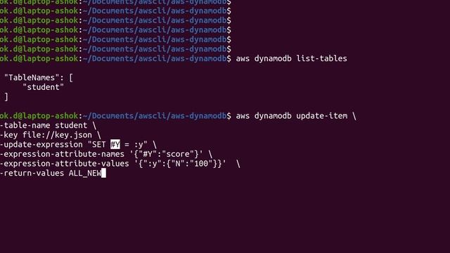 Update Item in DynamoDB Table using AWS command смотреть онлайн