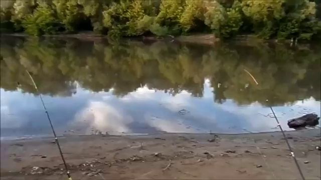 Рыбалка на язя и налима-река Сура -рыбалка в Пензе-ловля на выползка смотреть онлайн