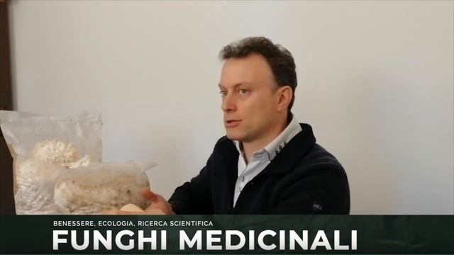 Il Fungo Hericium. Microlezione Sui Funghi Medicinali Del Dr. Marco Passerini
