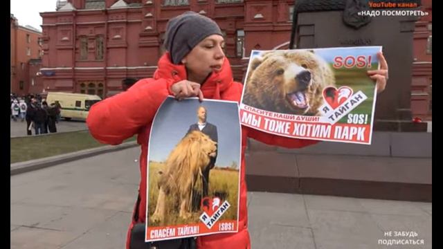 Промежуточные итоги захвата парков Тайган и Сказка. смотреть онлайн
