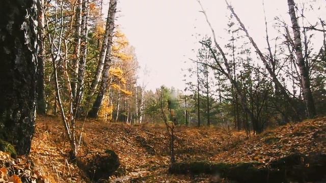 КАНАЛ " УРЕНЬГА " УХОДИТ В ОТПУСК смотреть онлайн