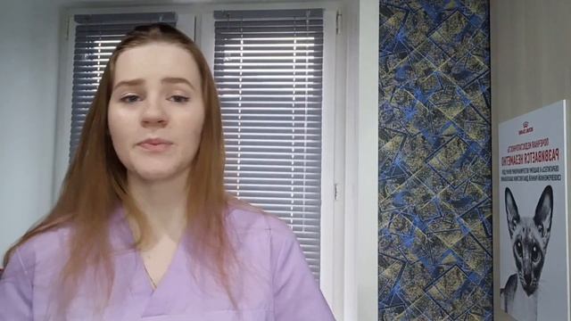 5 правил для идеального котовладельца. Совет зоопсихолога смотреть онлайн