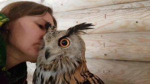 Филин Варя из Коломенского немножко тоже стал УГУ-ХУ-ХУ