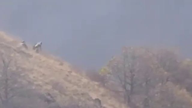 Азербайджанская армия убегает! Армянские войска наступают прямо сейчас! 09․11․2020 смотреть онлайн
