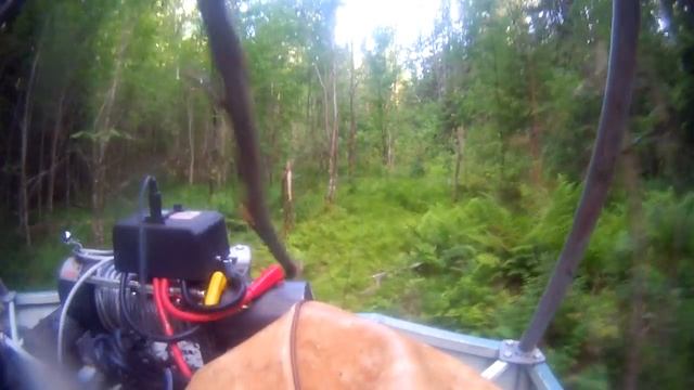 Первые выезд в лес, Просека смотреть онлайн