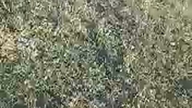 Озеро даёт бодрости заряд. смотреть онлайн