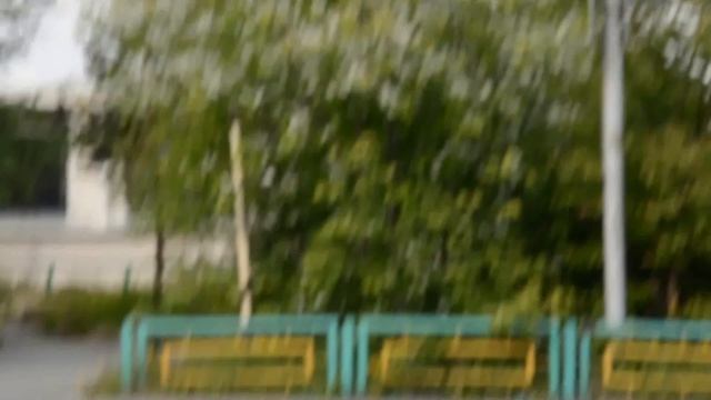 Копия видео "Цветение черёмухи в Магадане." смотреть онлайн