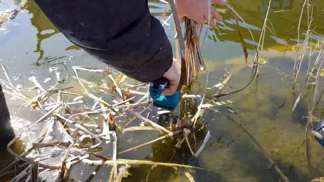 УБОРКА В ПРУДУ// Стрижка растений в пруду на БИОПЛАТО// смотреть онлайн