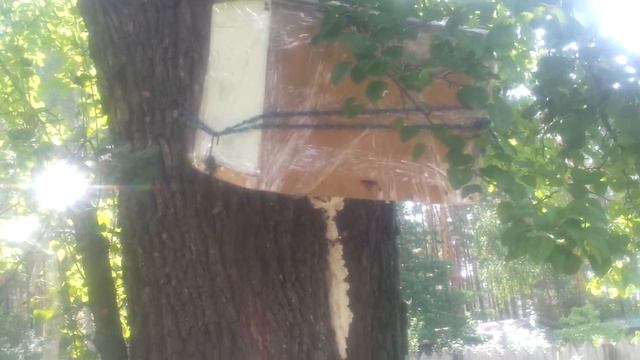 Пчелоудалитель смотреть онлайн