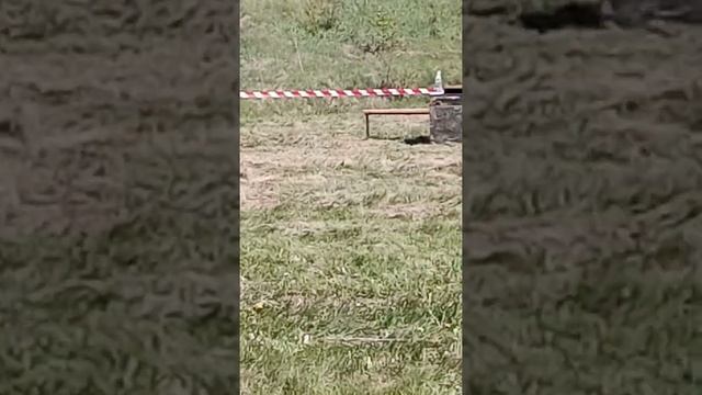 Выставка охотничьих собак.Ринг Русские гончие старш.группа!Умань Черкасская обл. смотреть онлайн