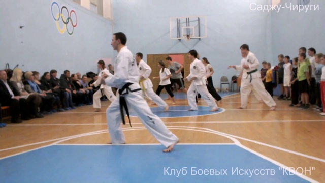 Саджу Чируги