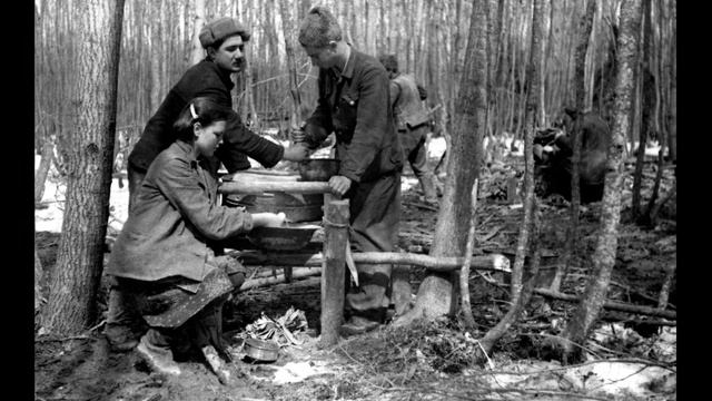 Презентация фотовыставки «Партизанское движение в Крыму в 1943-1944 годах» смотреть онлайн