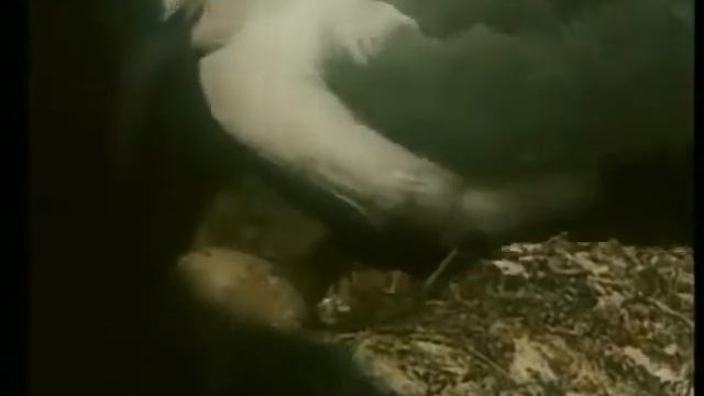 Позвоните родителям социальная реклама 90 х смотреть онлайн