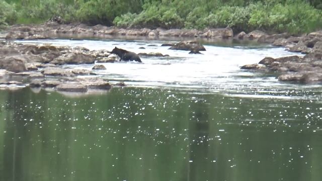 РЫБАЛКА НА СПИННИНГ / ПОХОД НА ИЗБУ / ТАЕЖНАЯ РЕЧКА / рыбалка в тайге смотреть онлайн