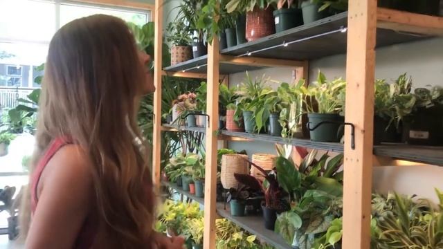 AWESOME Shopping Trip to Plant Bar in Richmond, VA| Positive Energy Plant Shopping |BEST Plant Shop смотреть онлайн