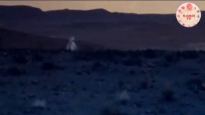 ДАВАЙТЕ СДЕЛАЕМ ДУА ЗА БЛИЗКИХ И РОДНЫХ