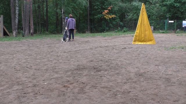 МОНО ВЕО ПРК лобовая Дэнвер