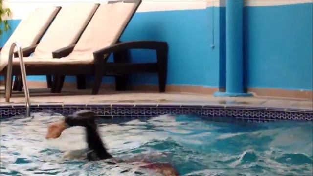 Spark Residence Hotel