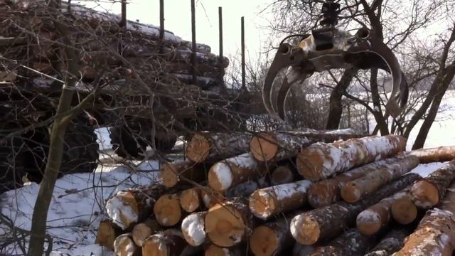 Лес кругляк для бани смотреть онлайн