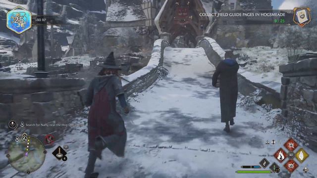 HOGWARTS LEGACY PS5 WALKTHROUGH GAMEPLAY PART 26 -NO COMMENTARY - BOMBARDA SPELL - NATSAI ONAI QUES смотреть онлайн