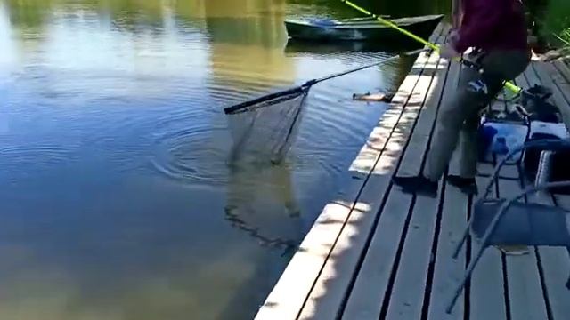 30.06 Рк Фишка Берег, карповая ловля, ловим карпа, платная рыбалка, зарыбление водоемов смотреть онлайн