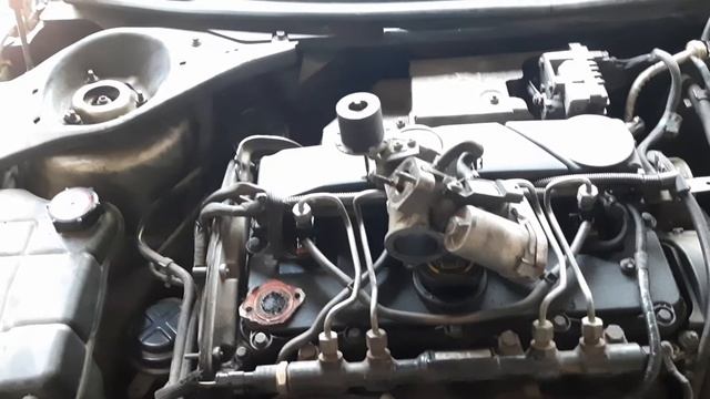 Автолюбитель