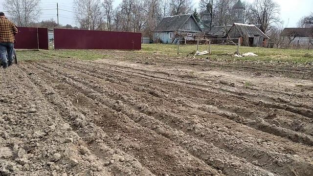 Подготовка грядок в огороде / ЛопЛош / Мотокультиватор смотреть онлайн