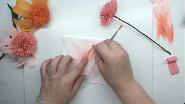 Echinacea / Эхинацея -лекарственное растение смотреть онлайн
