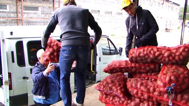 Бесплатная картошка смотреть онлайн