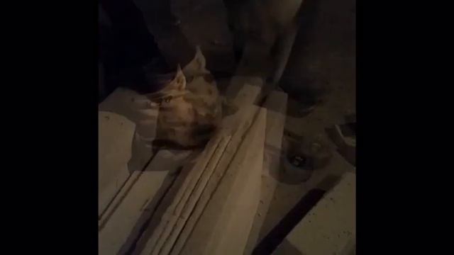 Инструмент для устройства борозды. Камал 3 оч. 03.02.2017 смотреть онлайн